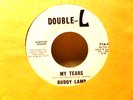 Buddy Lamp-Double-L Promo 45-My Tears-Very Nice