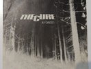45 GIRI THE CURE A FOREST ANOTHER JOURNEY BY TRAIN POLYDOR 2059 229 MADE ITALY