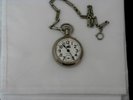 RAILROAD POCKET WATCH WORKS GREAT  TRAIN ON THE BACK  RARE   COLLECTABLES