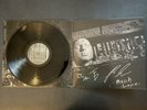 New The Front Bottoms SIGNED In Sickness & In Flames Vinyl Ann Rose Grey Hawk LP