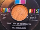 THE REMARKABLES I CANT GIVE UP ON LOSING YOU (AUDIO ARTS)