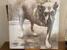 Alice in Chains - Self Titled - Tripod - “Euro Import” - Vinyl - RARE