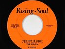 Funk Breaks 45 - U-F-O's - Too Hot To Hold - Rising-Soul - VG++ mp3