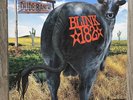 Blink 182 - Dude Ranch LP