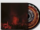 The Reytons - What's Rock And Roll (Zoetrope) - Vinyl LP