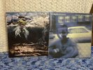 John Frusciante Vinyl 2 Empyrean and Inside Of Emptiness Red Hot Chili Peppers