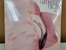 SEALED  Vintage 1983 Christopher Cross 