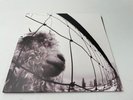 Vs. [Remastered] by Pearl Jam (Record, 2011)