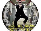 PSY - Gangnam Style - NEUF- Picture Disc - Disque Vinyle - Ibiza 88 - Electro