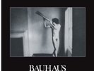 BAUHAUS - IN THE FLAT FIELD NEW VINYL
