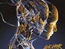Anchor Lane Call This a Reality? (Vinyl) 12