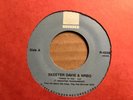 1985 SKEETER DAVIS & NRBQ Things To You / I Can't Stop Loving You Now 45
