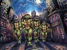 Teenage Mutant Ninja Turtles Part I Vinyl