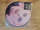 Gary Numan/Tubeway Army Are Friends Electric , Down In The Park Picture Disc