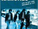 THE RAMONES Live in New York November 1977 12