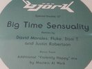 Björk – Big Time Sensuality 2x12