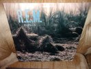 R.E.M. - Murmur LP - Original I.R.S.  with inner - Excellent