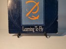 Pink Floyd Learning To Fly Promo 12
