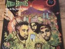 JUNGLE BROTHERS DONE BY THE FORCES OF NATURE 1989 WARNER LP WX 332 NM KRT19