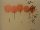 LS DUNES - Signed- Past Lives - Vinyl- BUBBLEGUM PINK