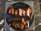 Metallica picture disc vinyl Garage days
