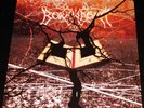 Borknagar: Epic - Limited Edition LP Clear with Splatter Color Vinyl Record NEW