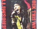 Aerosmith  Orig. EU 2012 +OIS  Gun`s n Roses