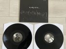 The Reytons - And They Call Us… - Gatefold Vinyl 2019 *Great Copy *