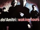 Del Amitri - Waking Hours - Used Vinyl Record - C11114A