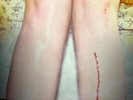Los Campesinos  Romance Is Boring (Vinyl) 12
