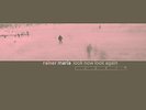 Rainer Maria Look Now Look Again (Vinyl LP)