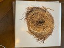 A Ghost Is Born 2004 Wilco usa canada '05 press rhino nonesuch 2 lp vinyl rare
