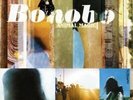 Bonobo 