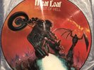 Meat Loaf Bat out of Hell Picture Disc LP EPC 11-82419 Epic