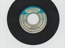 WILD FLOWER/ FOOLS RUSH IN  -  THE MIGHTY DIAMONDS  (79 REGGAE ROCKERS 7