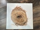 A Ghost Is Born Wilco 2xLP 2005 Near Mint Like New Tweedy Indie Record