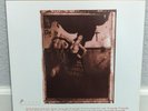 Pixies - Surfer Rosa - Mobile Fidelity Sound Lab - Mint to Near Mint Condition