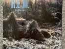 R.E.M - Murmur - Original 1983 Vinyl LP Record - Excellent Condition