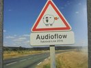 Audioflow, Platane ‎– Teknival Live 2016 130 Limited  2x12