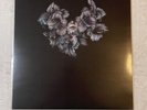 A lot Like Birds Divisi Vinyl Record (Black With Pink And Blue Splatter 1 LP)