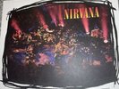 Unplugged In N.Y. by Nirvana (Record, 2013)
