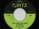 Doo-Wop 45 - Velours - Can I Walk You Home - Onyx - mp3
