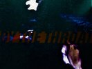 Ben Frost By The Throat 2010 Bedroom Community Records 12