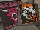 UK Subs Albums Mad Cow Fever and Ziezo