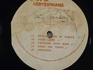 Abbyssinians 