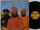 Abyssinians 