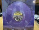 Ramones Gimme Shock Treatment LP NEW Sealed Vinyl Japan Issue Purple Color