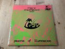 Magic Mushroom Band ‎– Process Of Illumination LP Vinyl Fungus Records FUN 003