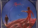 RUSH - HEMISPHERES - ORIGINAL US 1978 MERCURY PICTURE DISC LP vinyl album VG pic