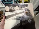 The Wonder Years Suburbia Vinyl Black LP 1st Pressing /1000